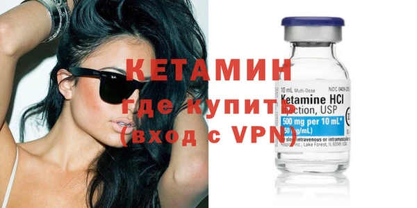 сатива Няндома
