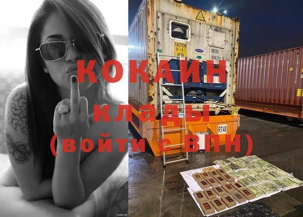 сатива Няндома
