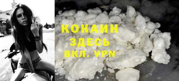 сатива Няндома