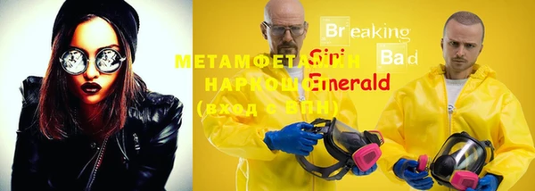 сатива Няндома