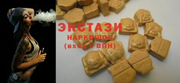 сатива Няндома