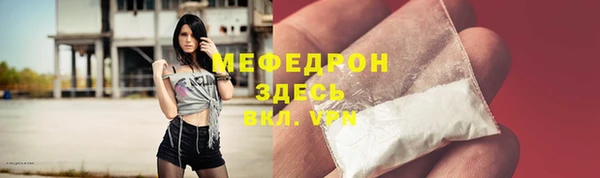 сатива Няндома