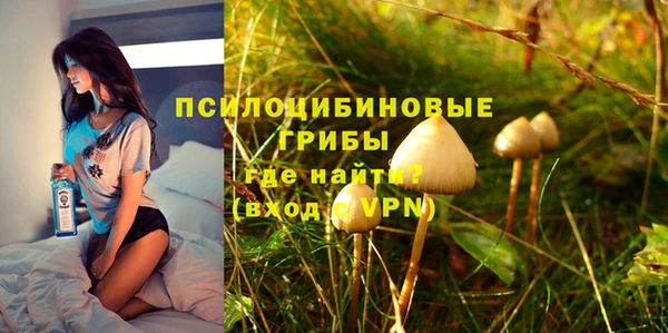 мдпв Нязепетровск
