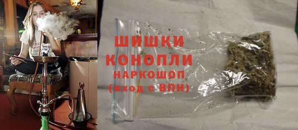 сатива Няндома
