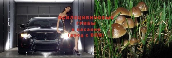 мяу мяу кристалл Нягань