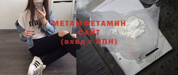 сатива Няндома