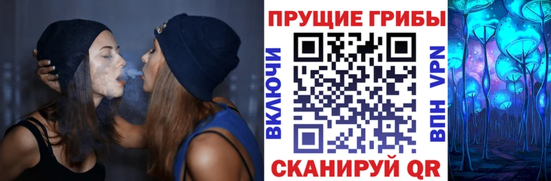 мега ТОР  Нижнекамск  Псилоцибиновые грибы Psilocybine cubensis 
